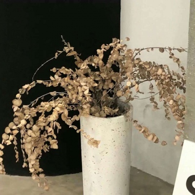 兽设原创设计欣赏兽圈社群